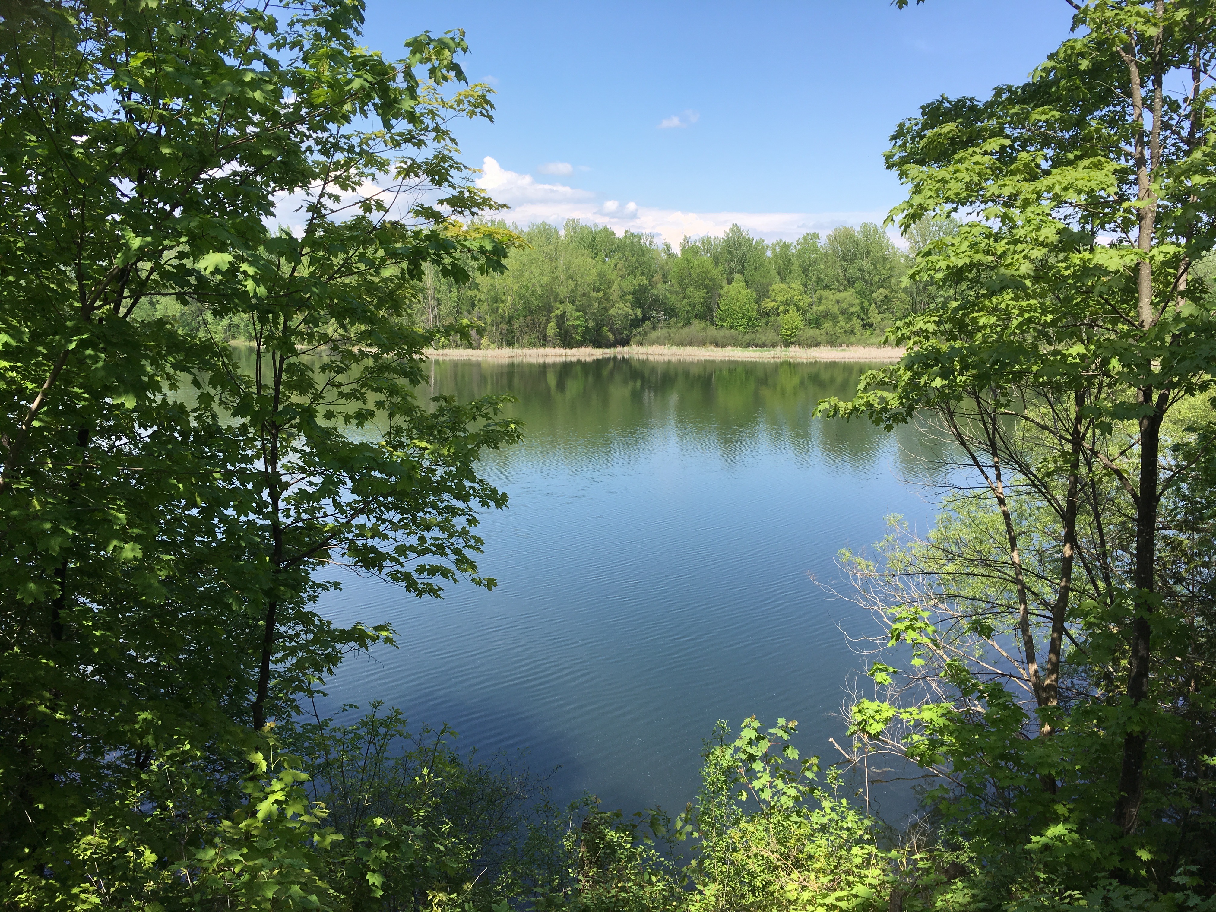 McKay Lake, Rockcliffe Park